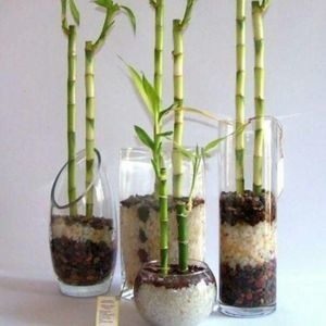 Meet your Posher, Ana